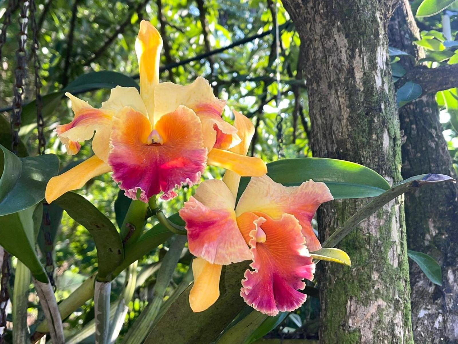 Costa Tropical Lägenhet Salobreña Exteriör bild